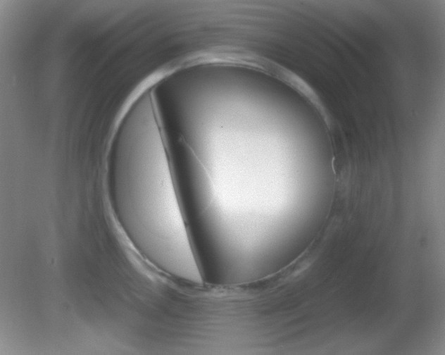 X0000082721146200701261023