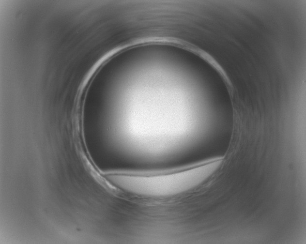 X0000082721148200701261023