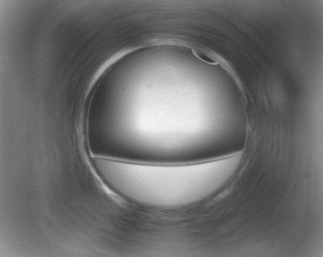 X0000082721149200701261023