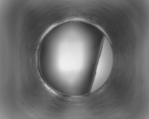 X0000082721151200701261023