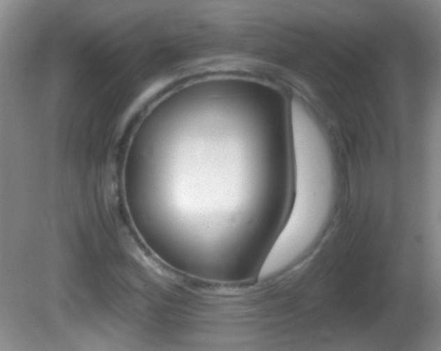 X0000082721164200701261022