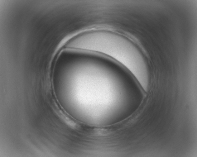 X0000082721176200701261022