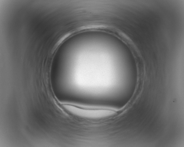 X0000082721177200701261022