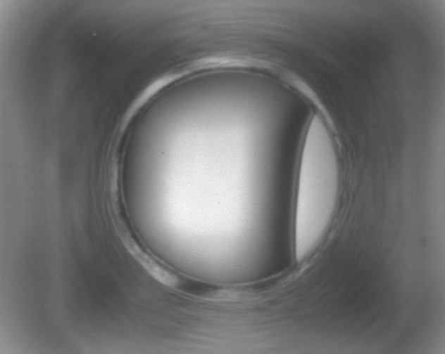X0000082721179200701261022