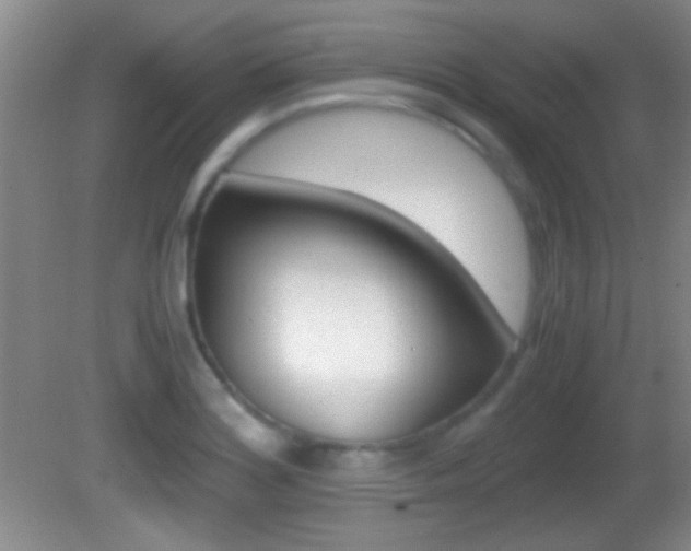 X0000082721180200701261022