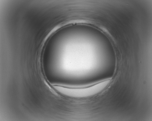 X0000082721181200701261022