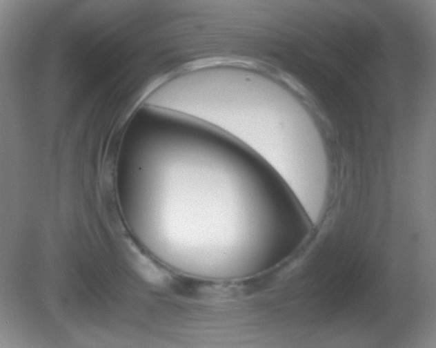 X0000082721185200701261022