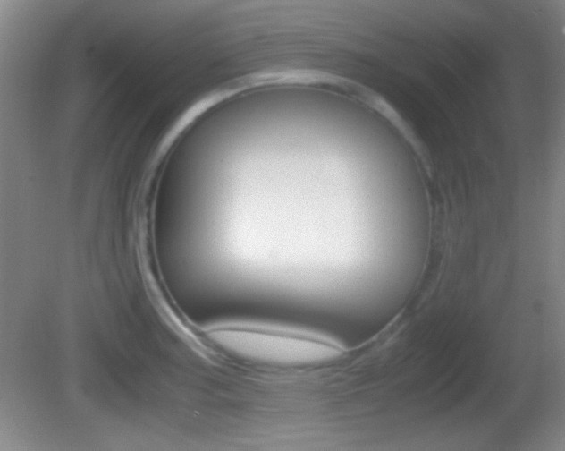 X0000082721187200701261022