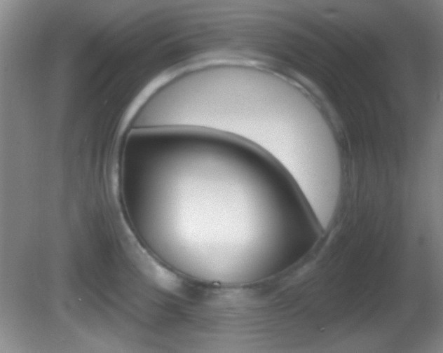 X0000082721188200701261022