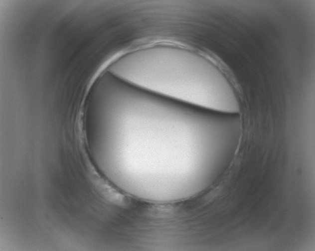 X0000082721190200701261022