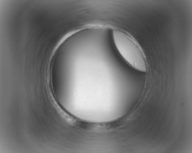 X0000082721195200701261022