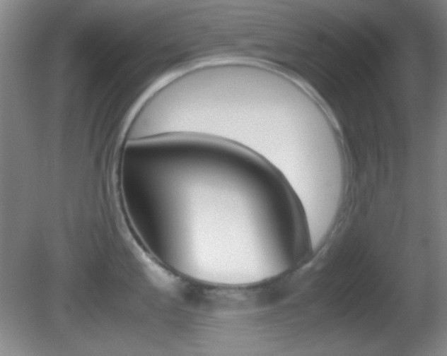 X0000082721197200701261022