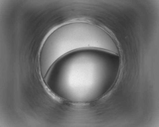 X0000082721200200701261021