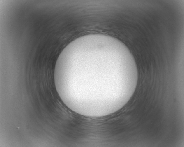 X0000082721202200701261021