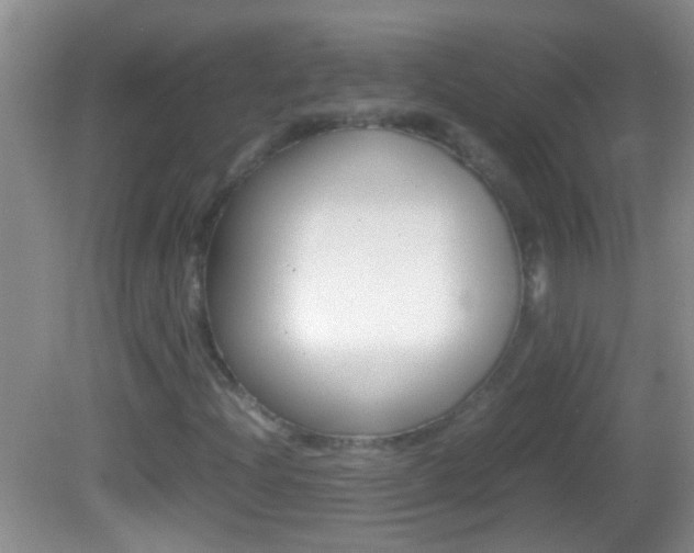 X0000082721204200701261021