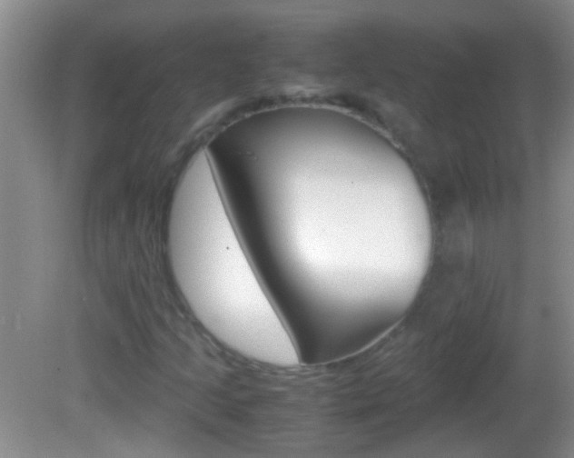 X0000082721205200701261021