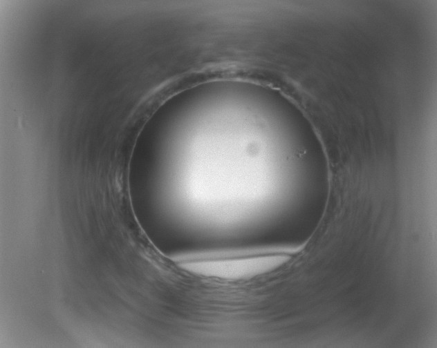 X0000082721206200701261021