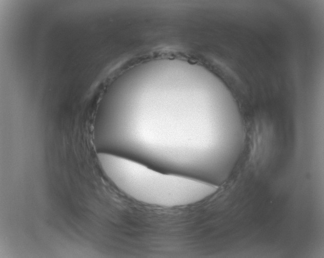 X0000082721207200701261021