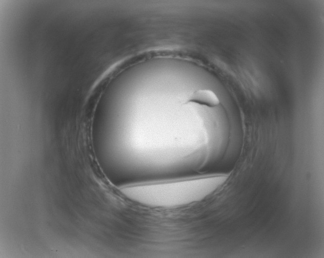 X0000082721208200701261021