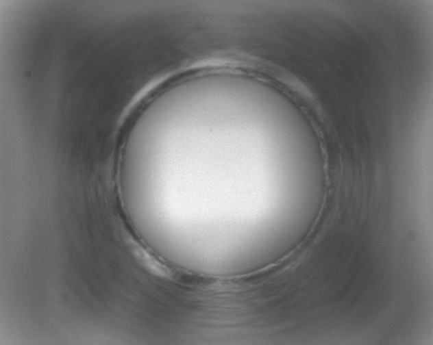 X0000082721216200701261021