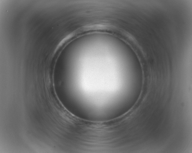 X0000082721218200701261021