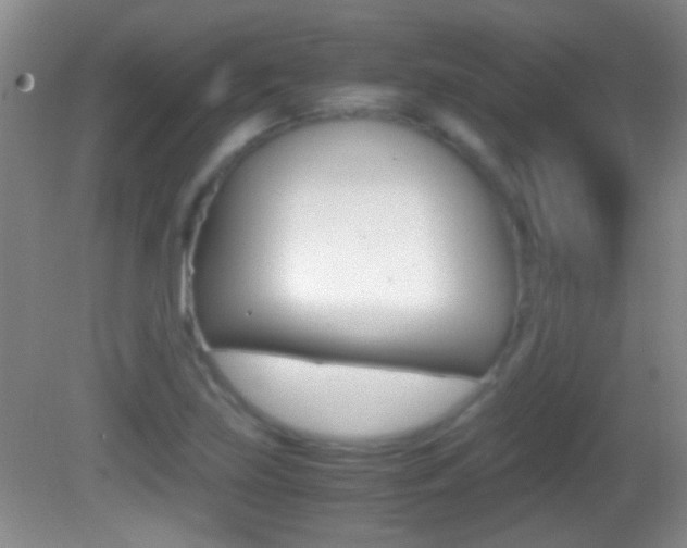 X0000082721219200701261021