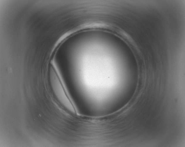 X0000082721226200701261021