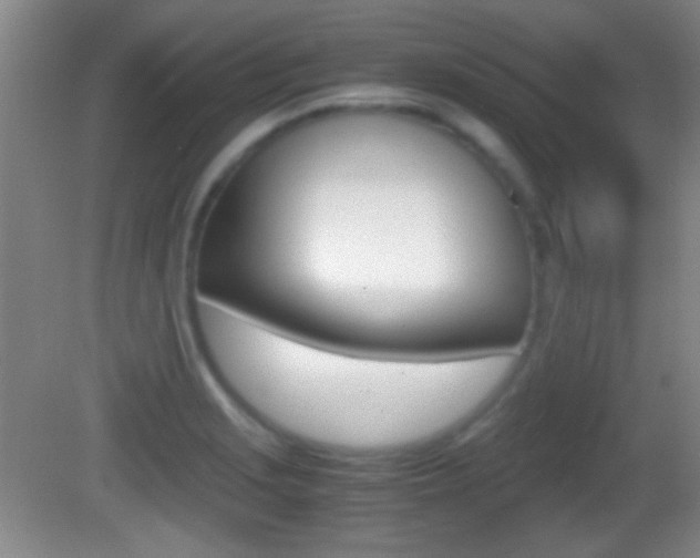 X0000082721229200701261021