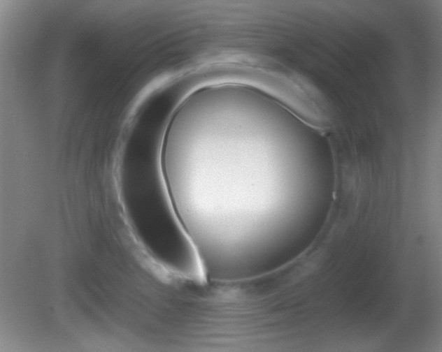 X0000082721230200701261021