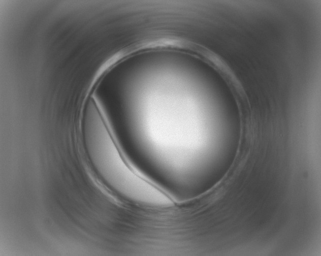 X0000082721234200701261021
