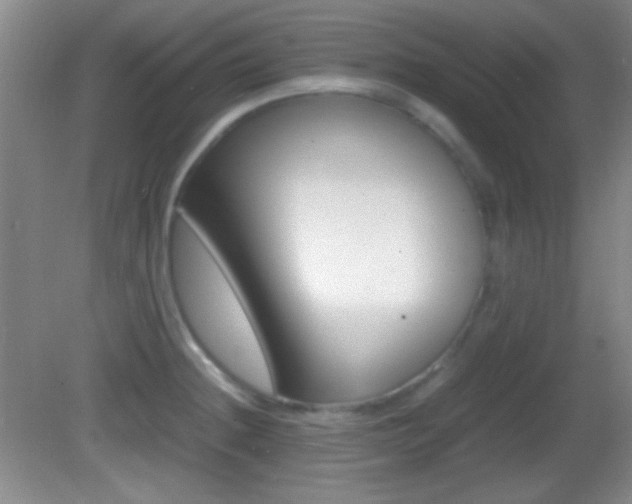 X0000082721236200701261021