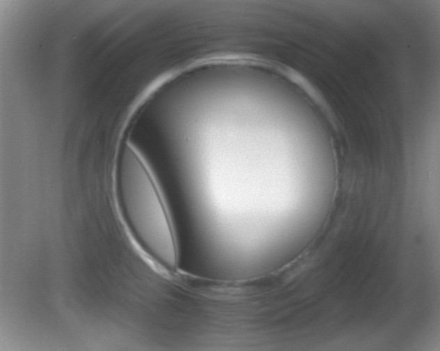 X0000082721237200701261021