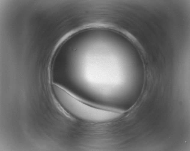 X0000082721238200701261021