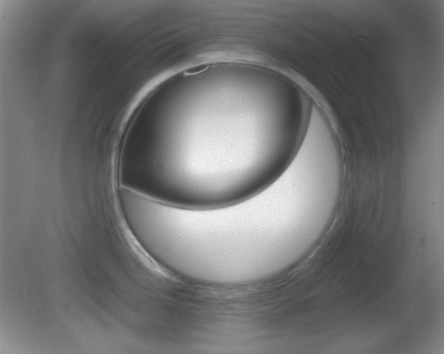 X0000082721246200701261021