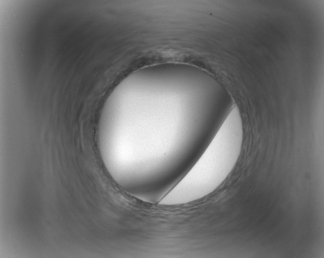 X0000082721249200701261021