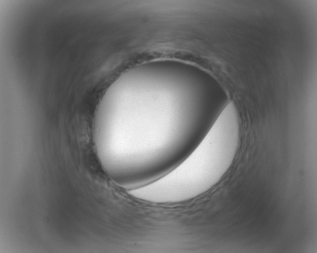 X0000082721253200701261021