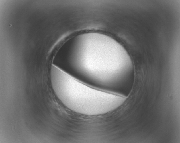 X0000082721256200701261021