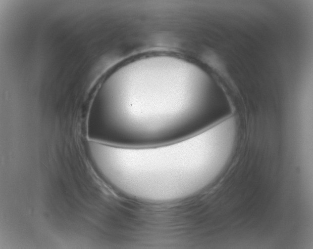 X0000082721260200701261020