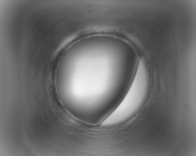 X0000082721261200701261020