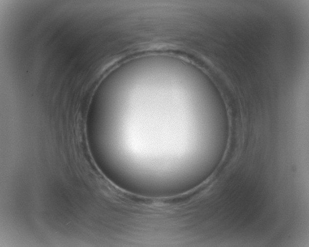 X0000082721265200701261020