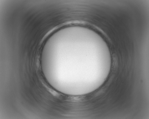 X0000082721266200701261020