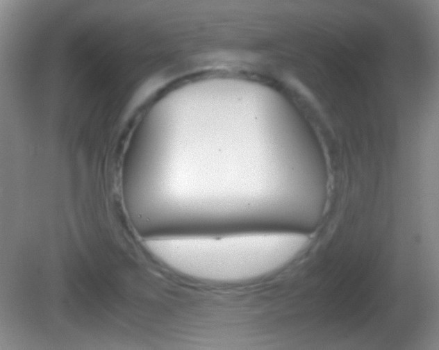 X0000082721267200701261020