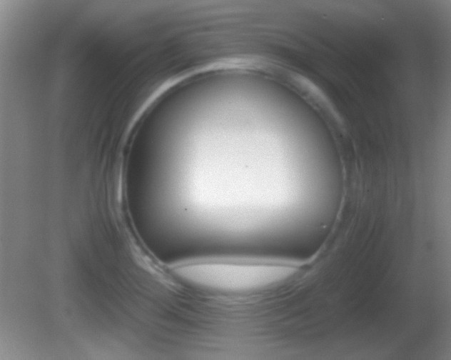 X0000082721276200701261020
