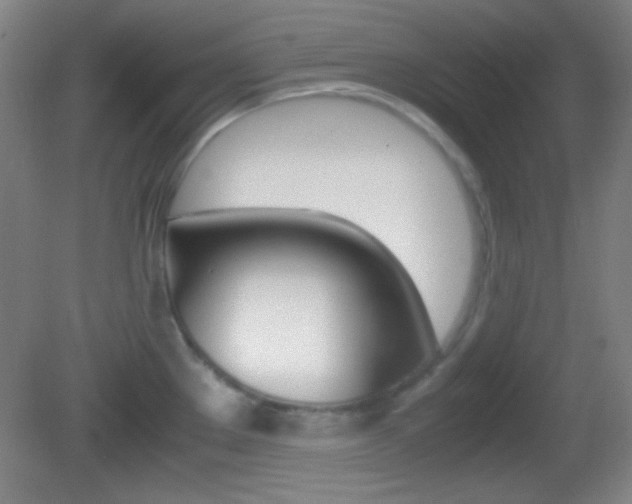 X0000082721289200701261020
