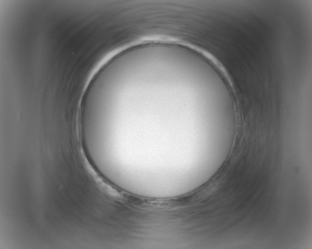 X0000082721295200701261020