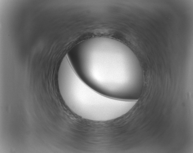 X0000082721297200701261019