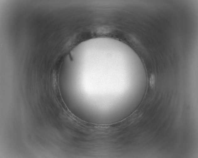 X0000082721299200701261019