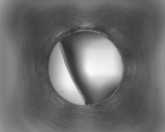 X0000082721301200701261019