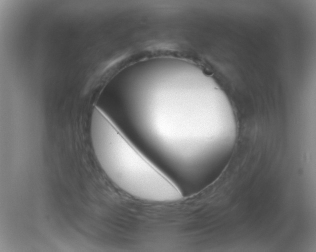 X0000082721303200701261019