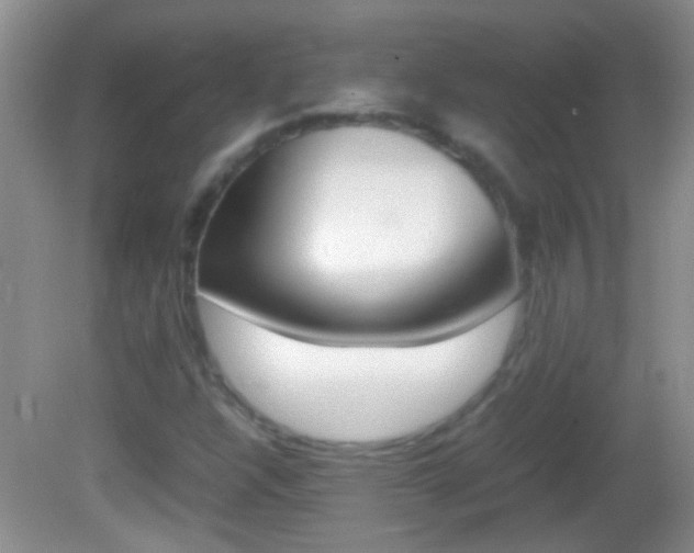 X0000082721304200701261019